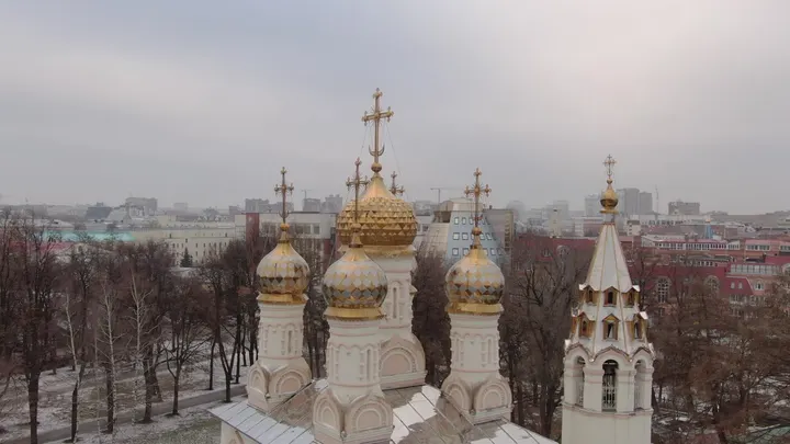 Рязанский кремль зимой с золотыми куполами