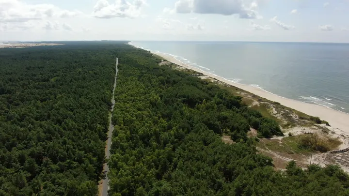 Куршская коса с высоты: дюны и Балтийское море